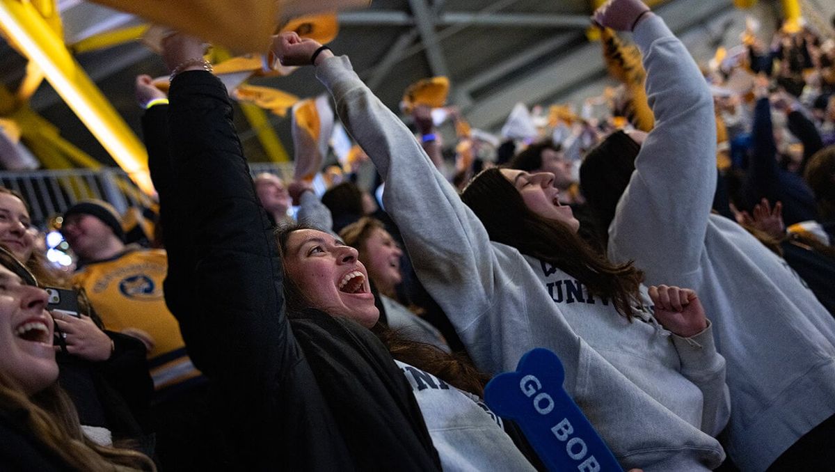 Quinnipiac Bobcats vs. Yale Bulldogs, 10 November | Event in Hamden | AllEvents