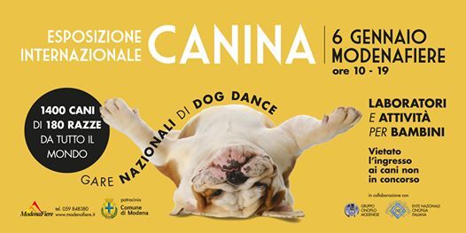 Esposizione Internazionale Canina Modenafiere January 6 Allevents In