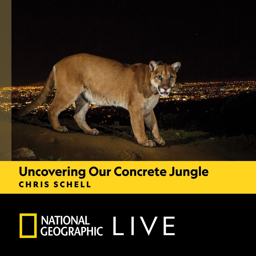 National Geographic Live: Uncovering Our Concrete Jungle with Chris Schell, 28 February | Event in Littleton