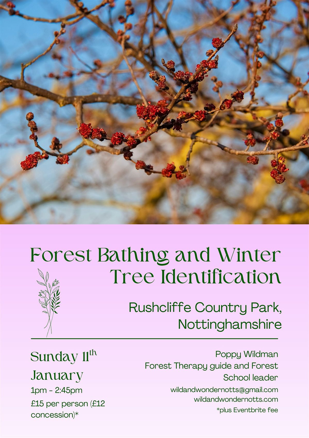 Forest Bathing and Winter Tree Identification, 11 January | Event in Nottingham | AllEvents