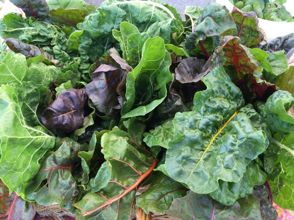 Shepherdstown Farmers Market Opening Day!, Shepherdstown Farmers Market