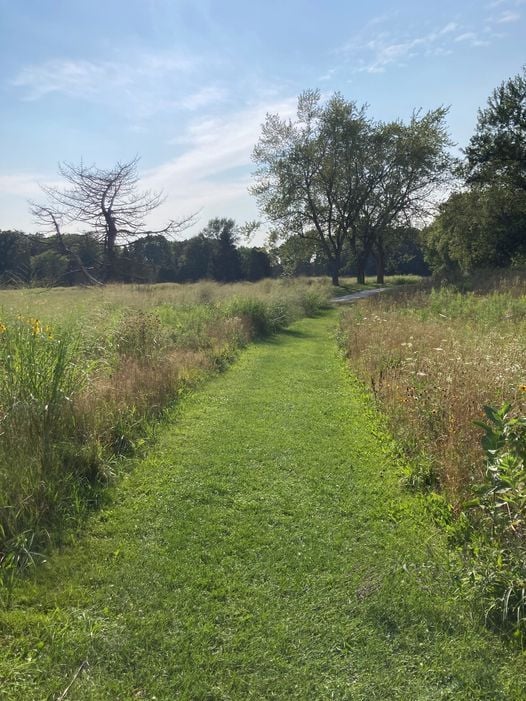 Lou5zefibw66ym Events In Grand Rapids August 2022