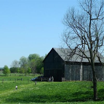 Elmwood Stock Farm