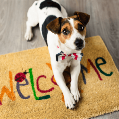 Dog & Family Loving Community & Heather Smith