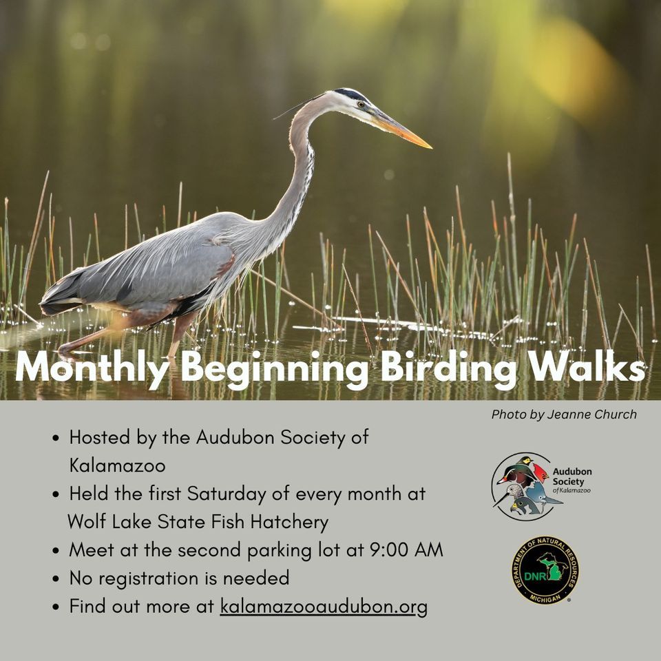 Monthly Beginning Birding Walks with the Audubon Society of Kalamazoo
