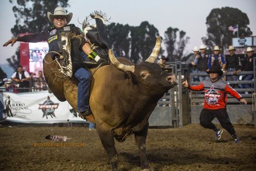 All Events In Salinas Today And Upcoming Events In Salinas Salinas Rodeo Fair 2022
