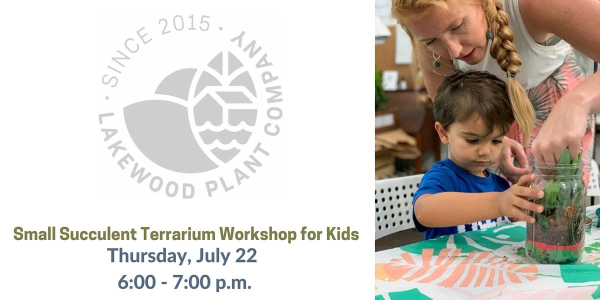 Kids Small Succulent Terrarium w/ Lakewood Plant