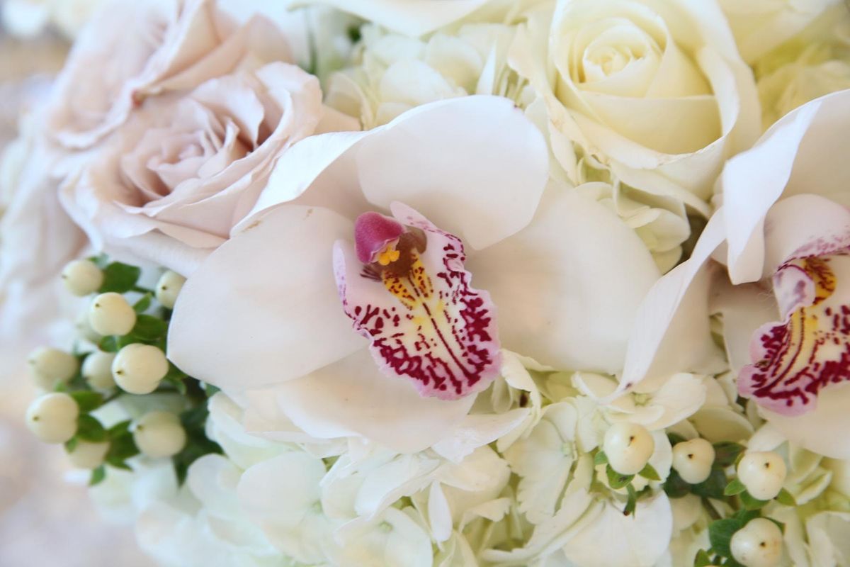 Scottsdale Wedding Bridal Fair The Mccormick Scottsdale January 30 2022 Allevents In Bridal Fair 2022