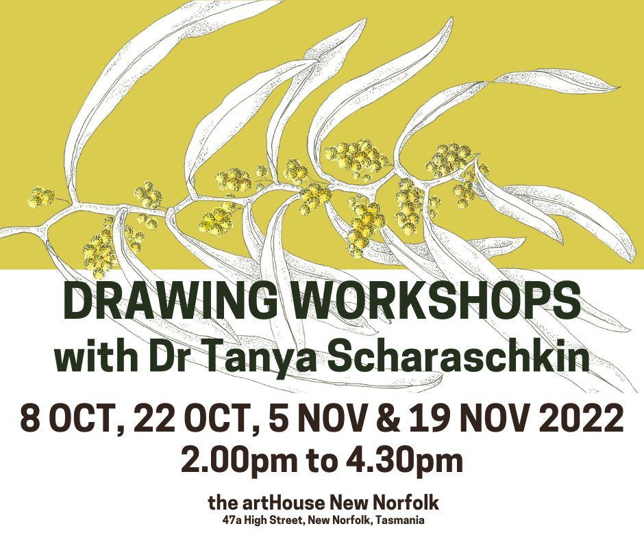 3. Drawing for Beginners with Dr Tanya Scharaschkin, The ArtHouse New Norfolk, Hobart, November
