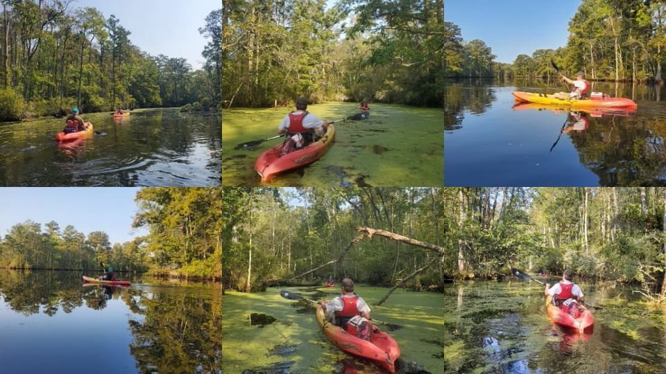 Kayak & Paddleboard Rentals, Bob's Fishing hole, Chesapeake, September