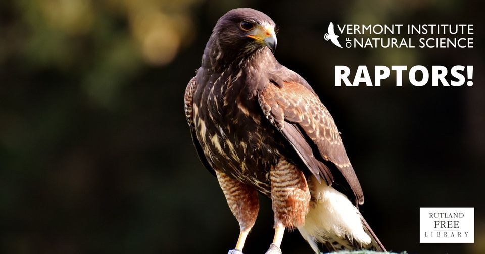 VINS: Raptors!, Rutland Free Library, 9 September 2023 | AllEvents.in