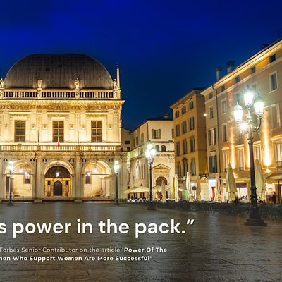 Women Entrepreneurs and Professionals Network (BS) logo