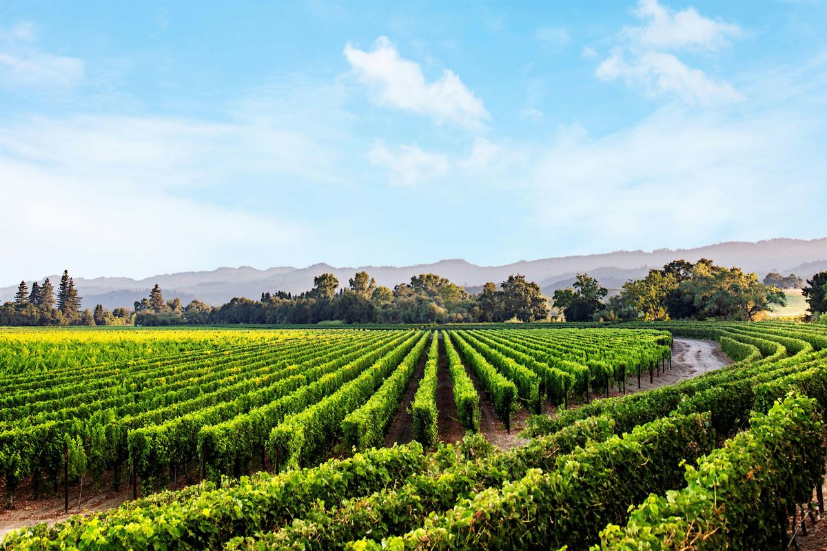 Chart House - Caymus Wine Dinner - Lake Charles, Chart House, Lake ...