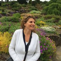 User profile photo