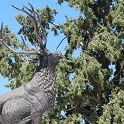 Sierra Vista Elks Lodge #2065