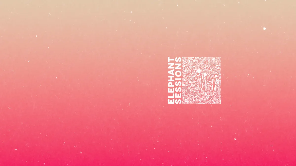 Elephant Sessions, Beluga Lagoon in Aberdeen, 22 December | Event in Aberdeen | AllEvents