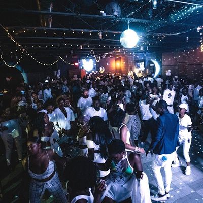Wavy Bunch Sound