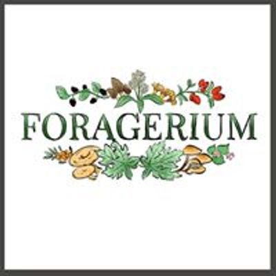 Foragerium