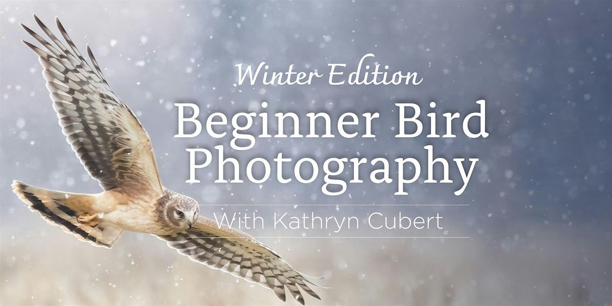 Beginner Bird Photography: Winter edition, 21 February | Event in Columbus | AllEvents