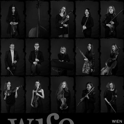 WISE - Wien International Soloists Ensemble logo