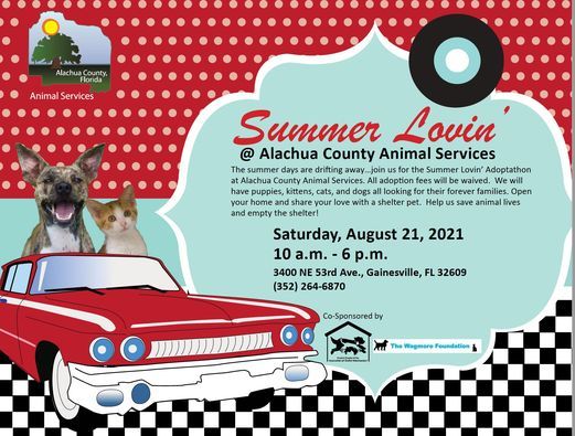 20th August 2021 Events In Gainesville Adoption Events December 2022 Gainesville Fl