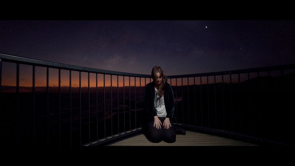 BELLA DEER Barrels Bar Port Campbell , Barrels Bar, Camperdown