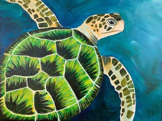 Sea Turtle Color Options Available At Oak Harbor Senior Center