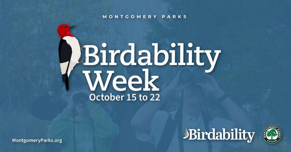 Birdability Week Beginning Birding for Every Body , Brookside Nature