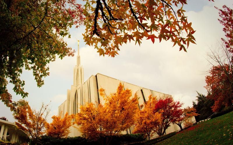 Stake Fill the Temple Day, 19 June | Event in Bellevue | AllEvents