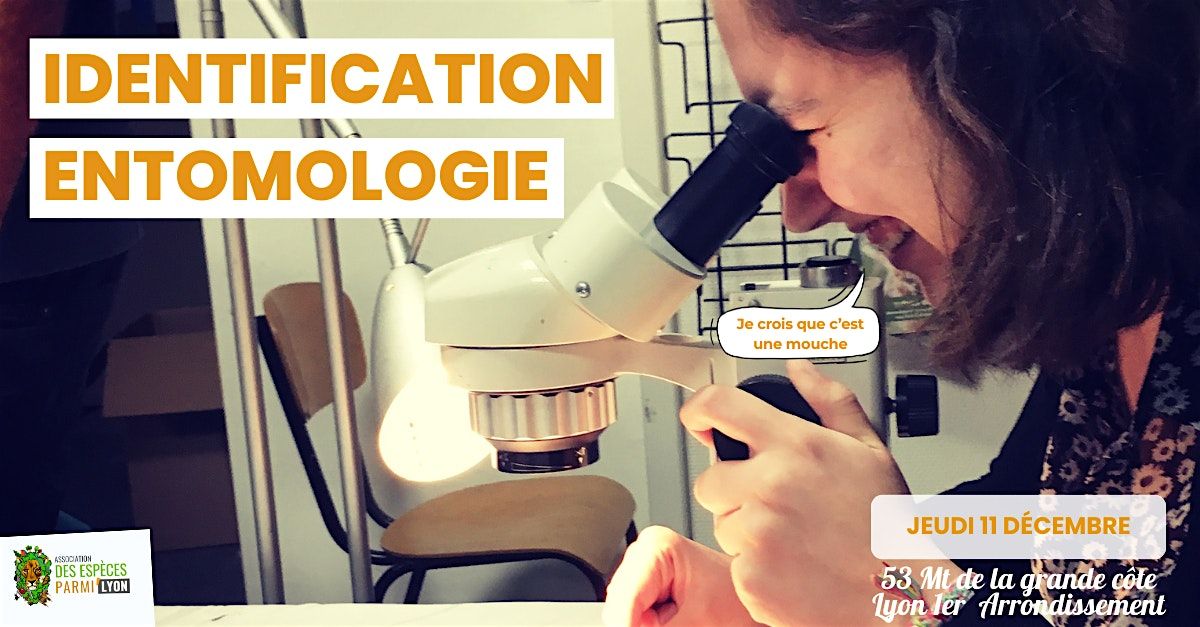 Identification entomologie, 11 December | Event in Lyon | AllEvents