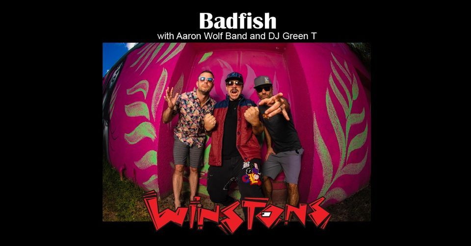 sublime badfish lyrics sublime badfish lyrics
