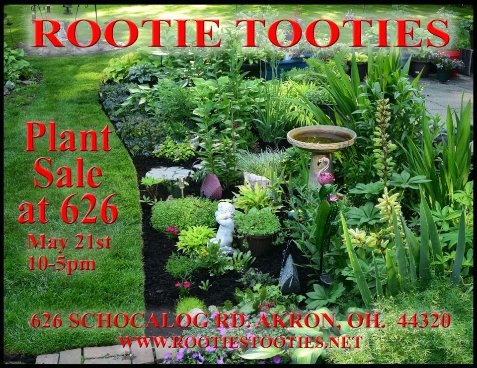 Plant Sale at 626 Schocalog in Akron Ohio , Fairlawn Heights, Akron, 21