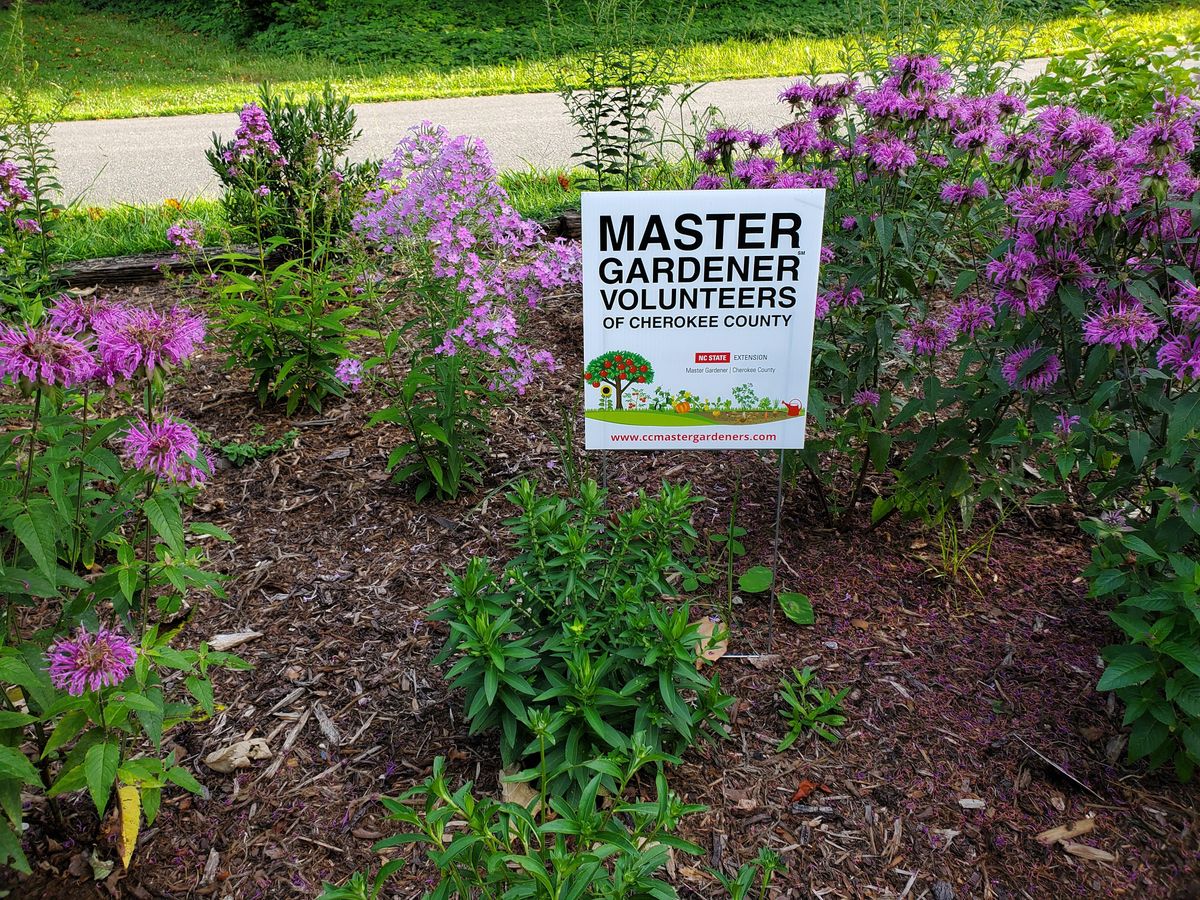 Master Gardener Training Orientation Session 699 Connahetta Street Murphy March 3 2022 Allevents In Cherokee Nc Events 2022