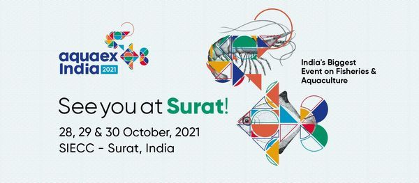 Events Activities To Do In Surat Today Allevents In Kids Events April 28, 2022 Near Me