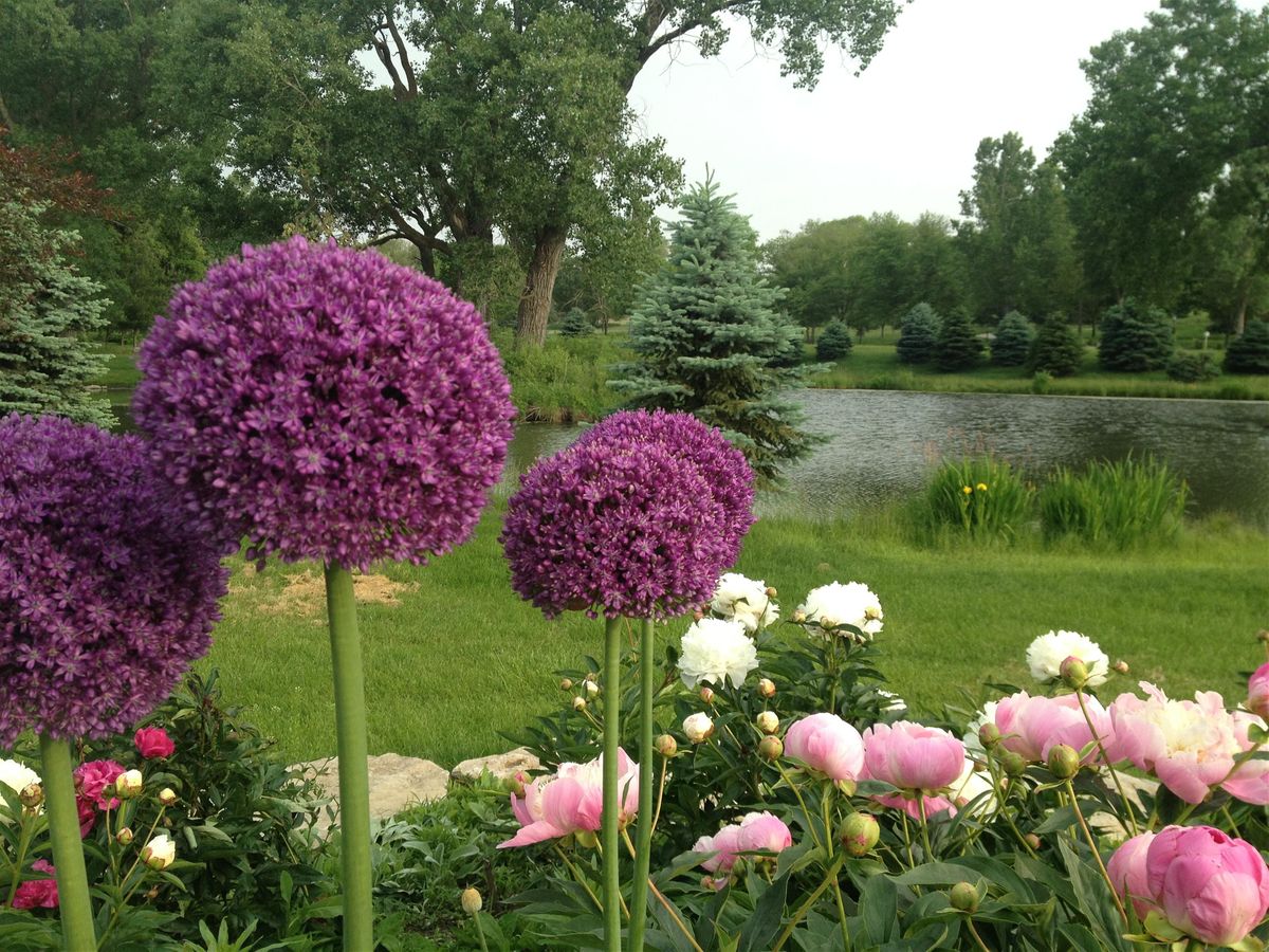 Midwest Farmer Florist Collaborative - Planning in January for Best