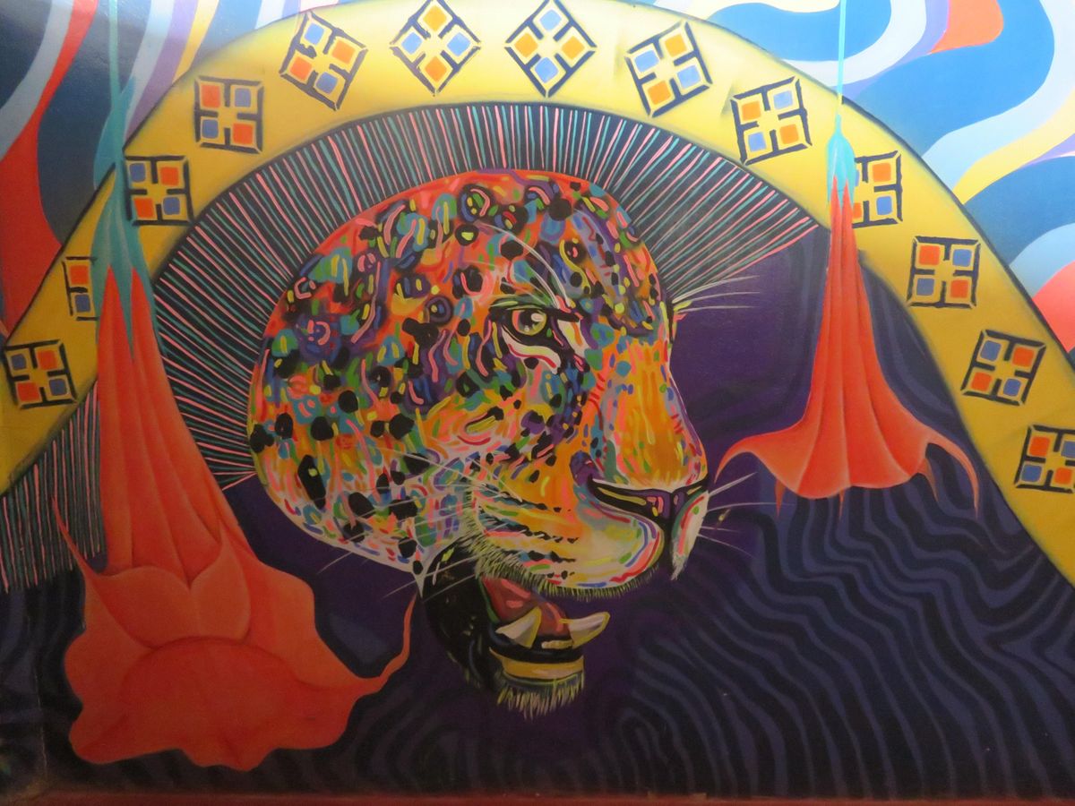 Psychedelics Integration Online Forum For Professionals Psychedelics Integration Online Forum For Professionals