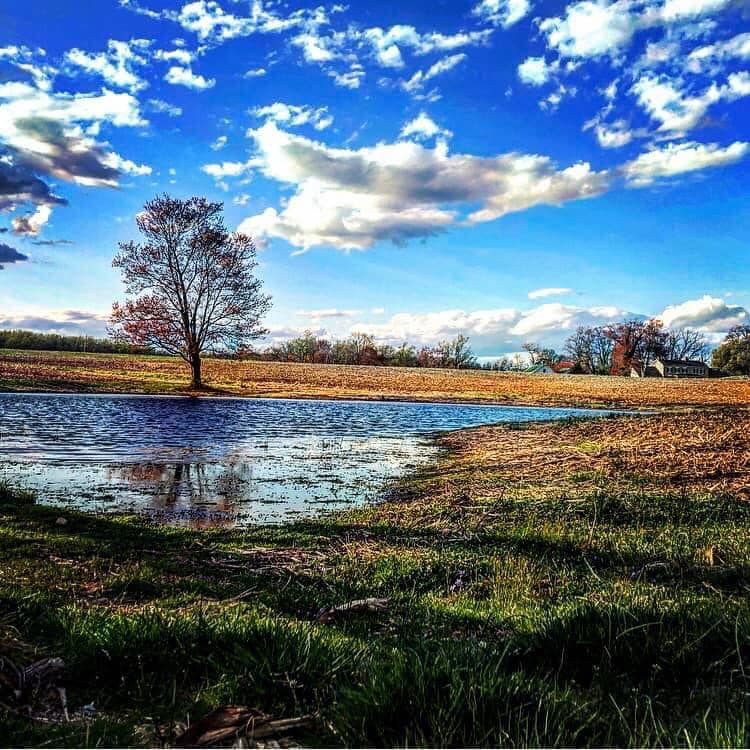 CCFG CAB Meeting - January 2024, 3023 Level Rd, Churchville, MD 21028 ...