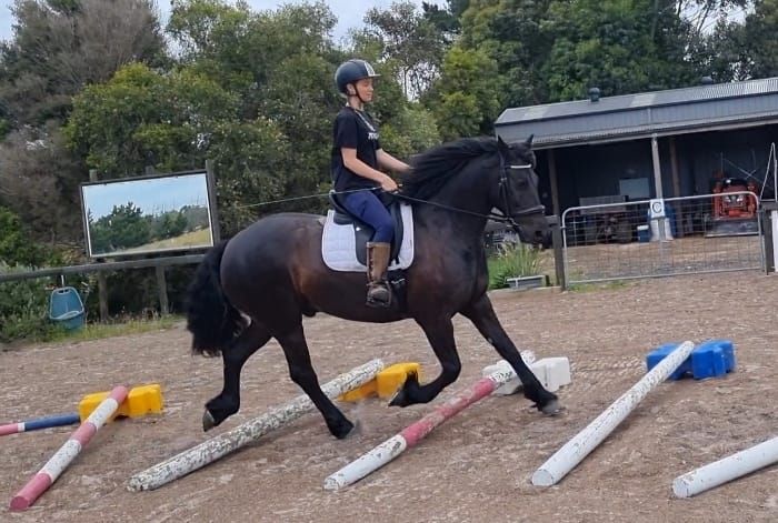 SATURDAY PEARCEDALE POLES ?, Diamond Equestrian, Frankston, 13 January ...