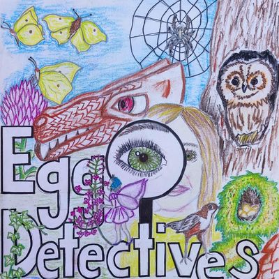 Acorn Adventures CIC logo