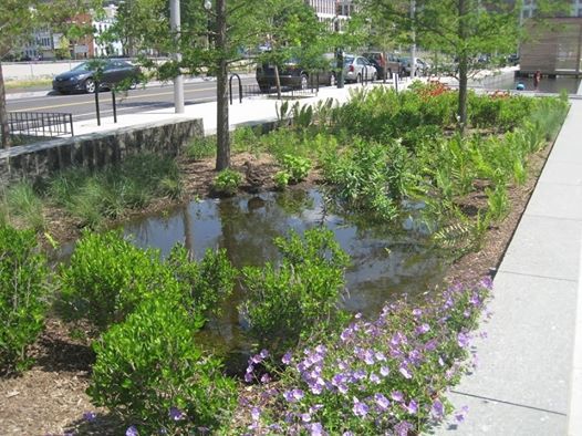 March General Meeting Green Infrastructure And Wildlife At