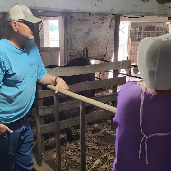 Unique Amish Immersion in Lancaster | Event in Witmer | AllEvents