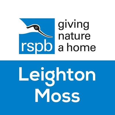 RSPB Leighton Moss
