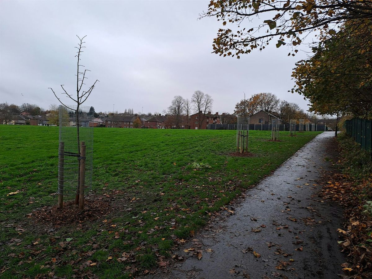 Tree Planting - Mather Rd Recreation Ground, 20 December | Event in Sheffield | AllEvents