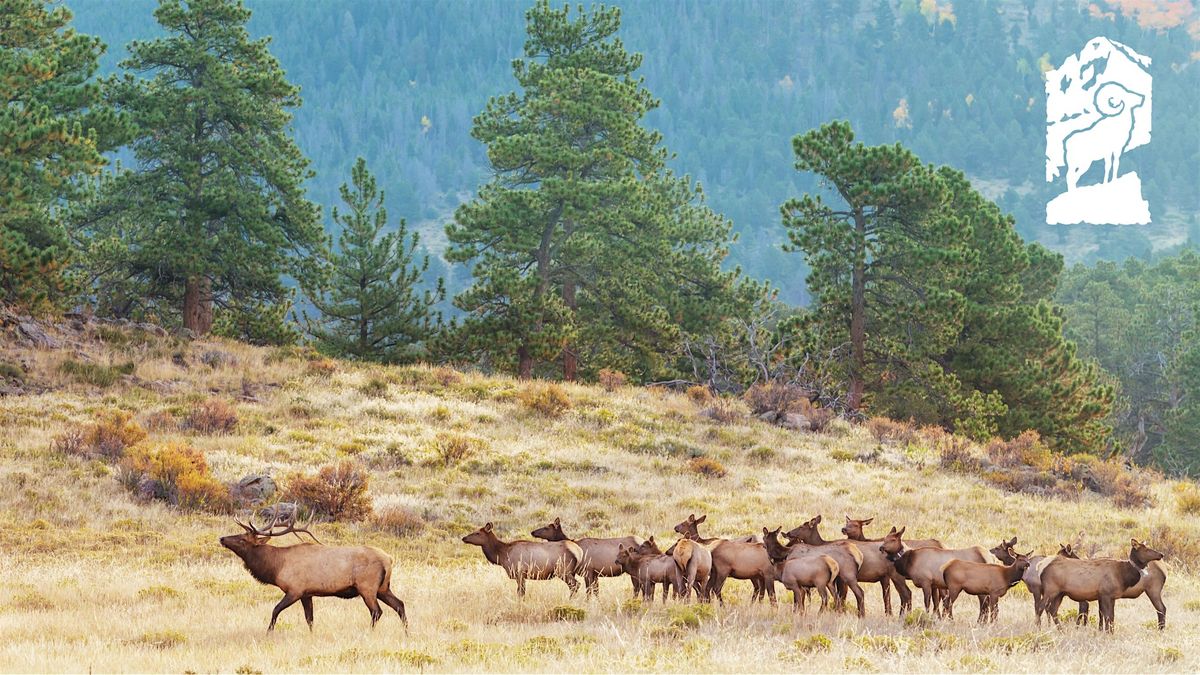 Fall Color Elk Tour in Rocky Mountain National Park, Fall River Visitor ...