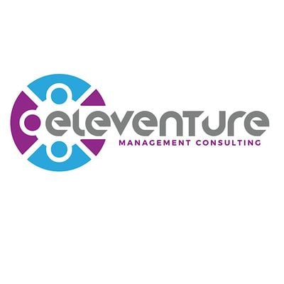 Eleventure Management Consulting