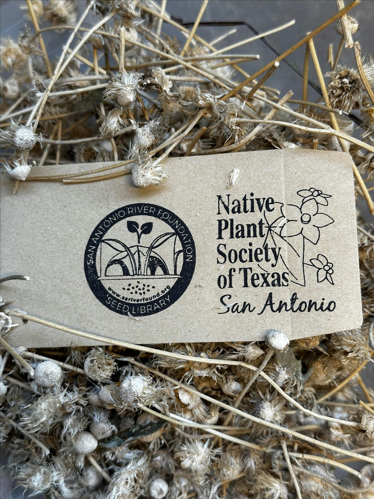 IN-PERSON EVENT: Native Seed Stewardship Basics | Event in San Antonio | AllEvents