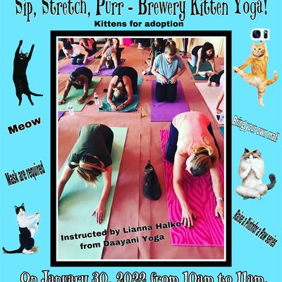 The North Fork Country Kids Animal Rescue logo