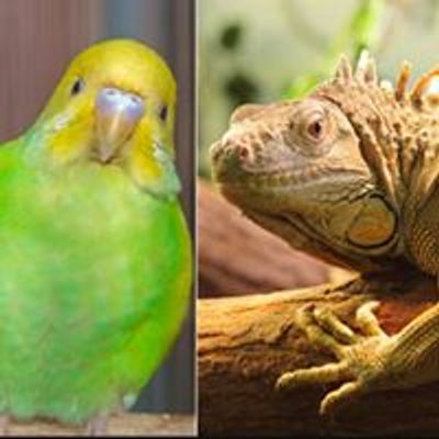 CF exotic pet expos
