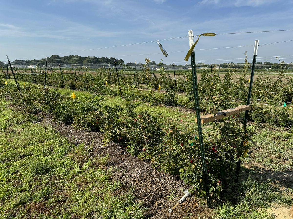 Bay Area Fruit Meeting
