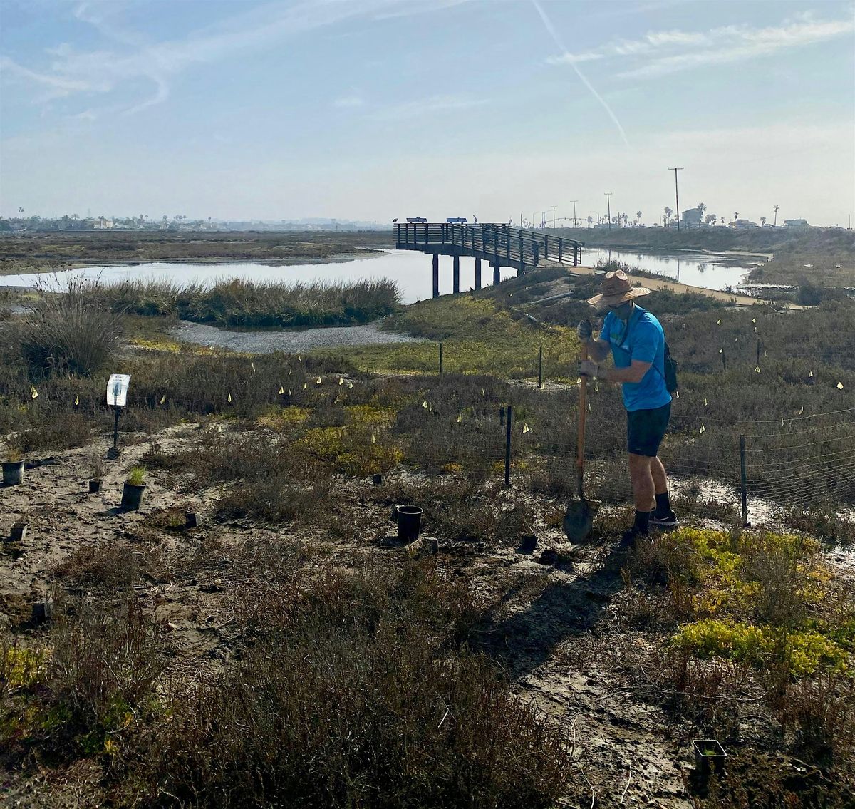 OCH Restoration at Huntington Beach Wetlands Conservancy | Event in Huntington Beach | AllEvents